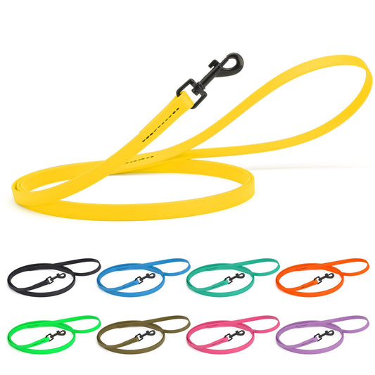 Biothane Waterproof Dog Leash, 4 ft