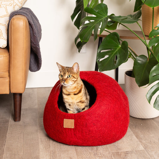 Chili Red | Round Style Cave
