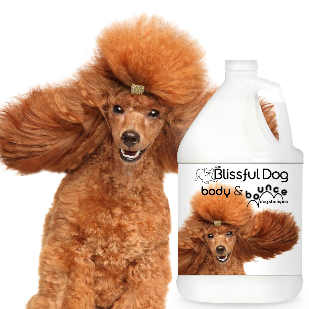 Body & Bounce Dog Shampoo