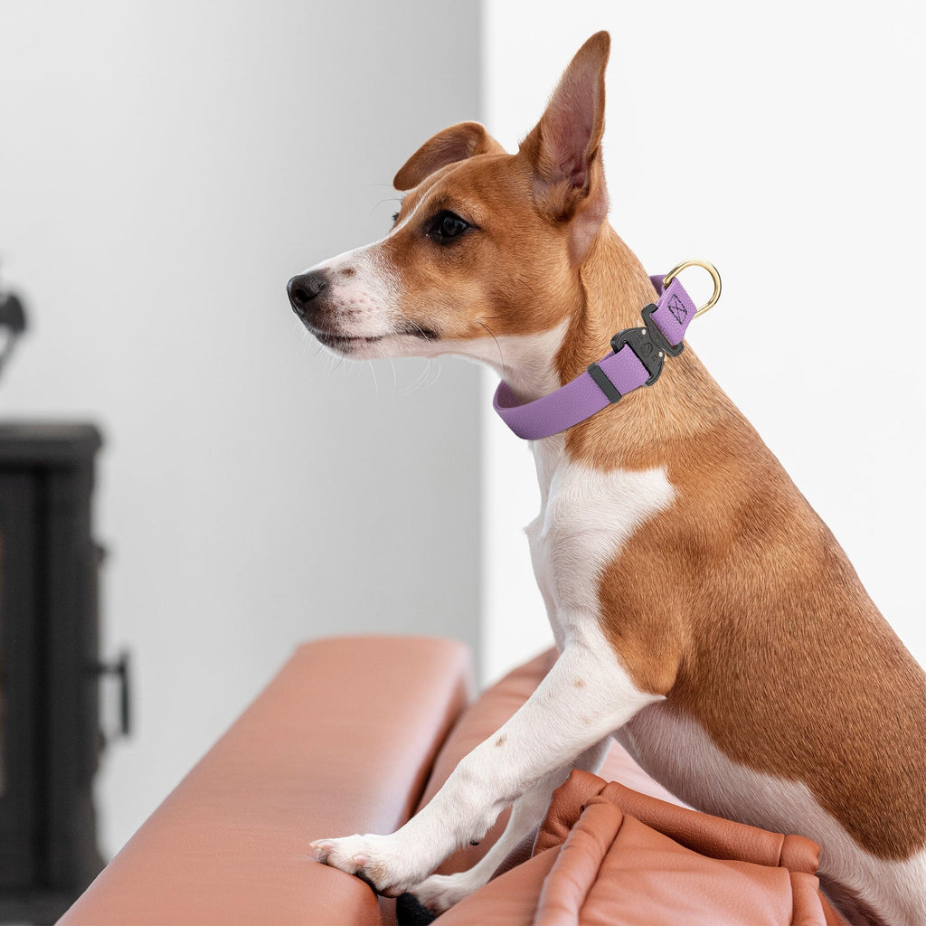 Dogline Pebble Emboss BioThane Dog Collar with Heavy Duty Cobra Buckle