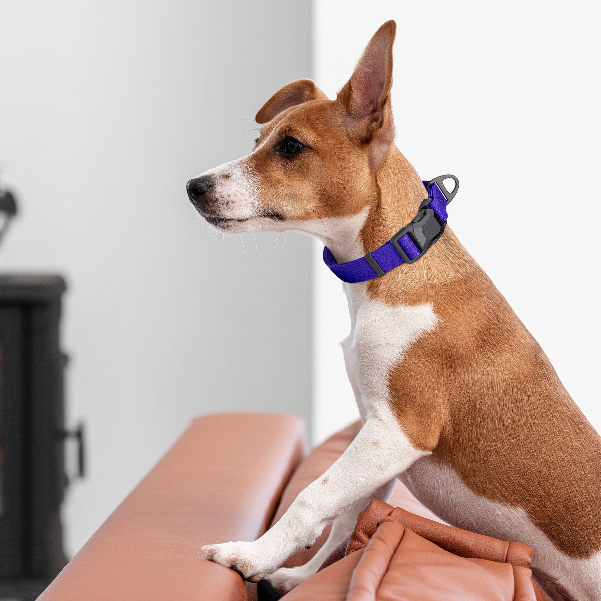 Dogline Pebble Emboss Biothane Dog Collar with Magnetic Buckle