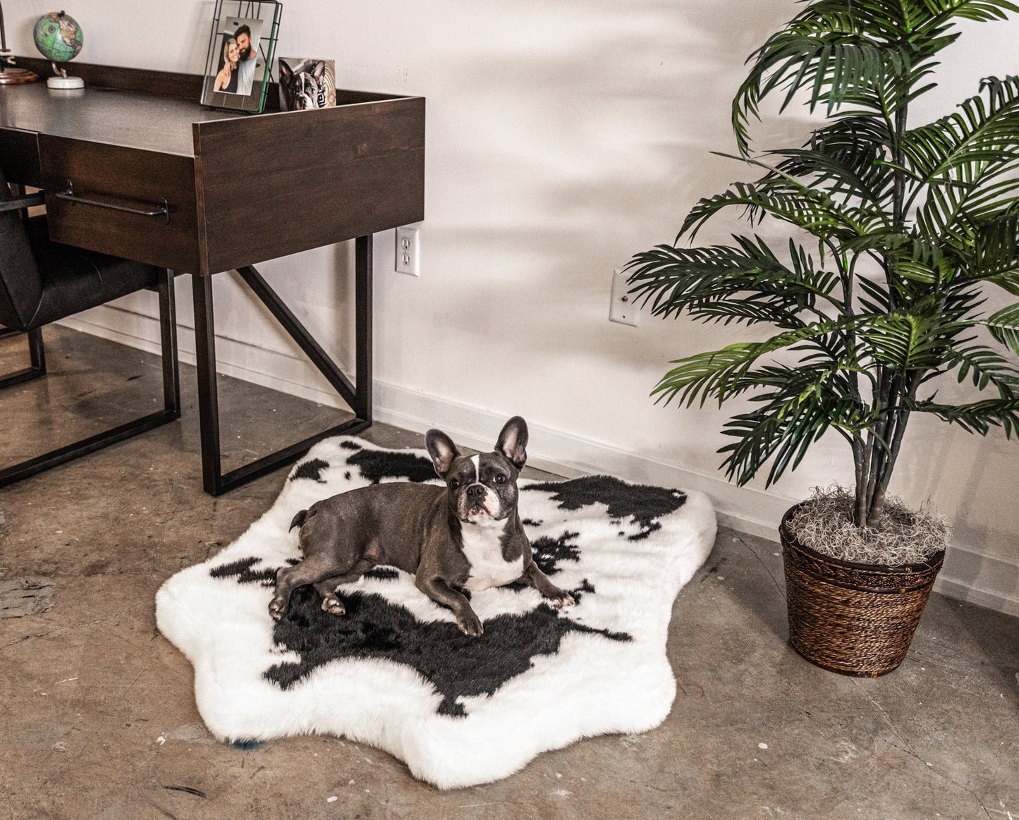 PupRug® Animal Print Memory Foam Dog Bed - Black Faux Cowhide