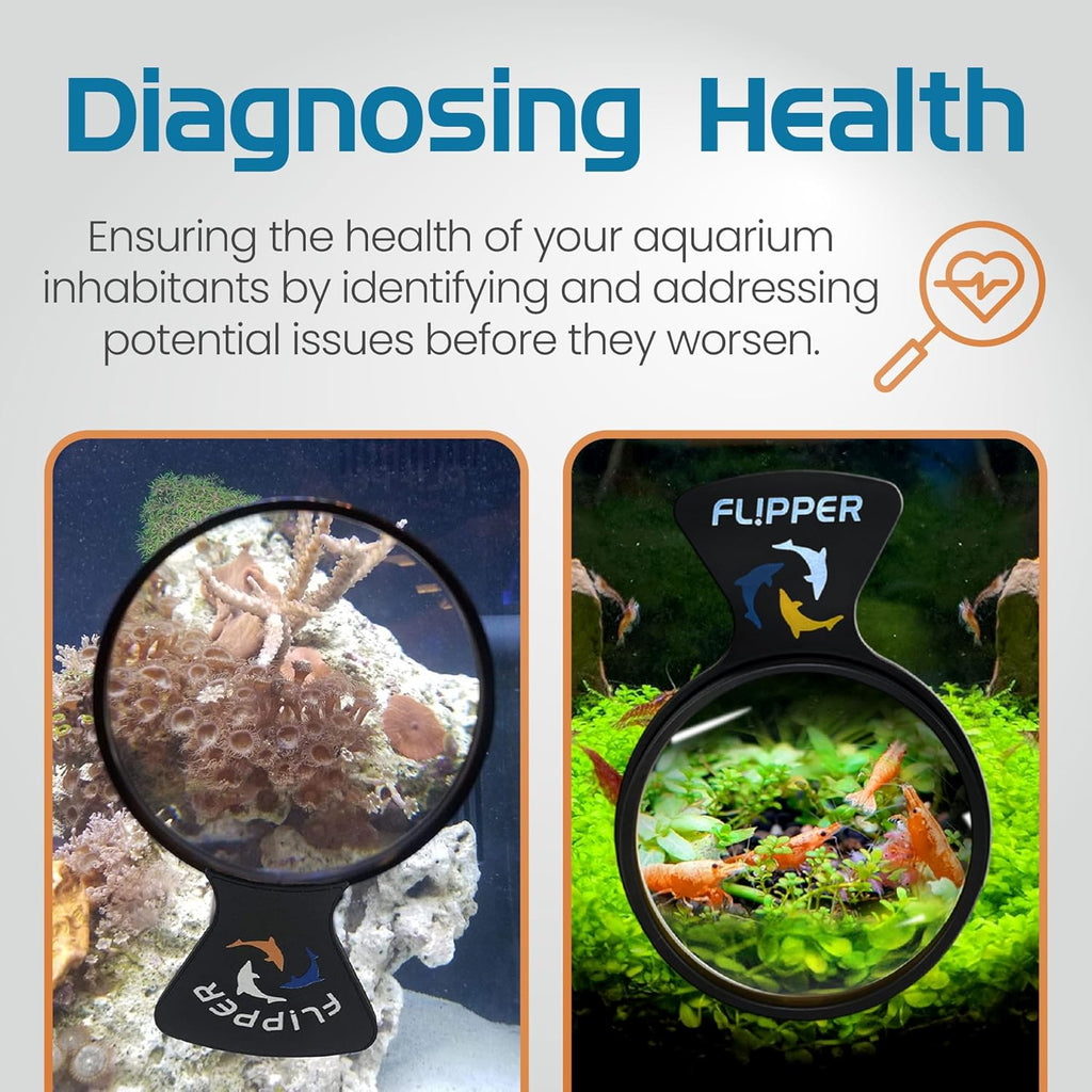 DeepSee Viewer Black Max 5"