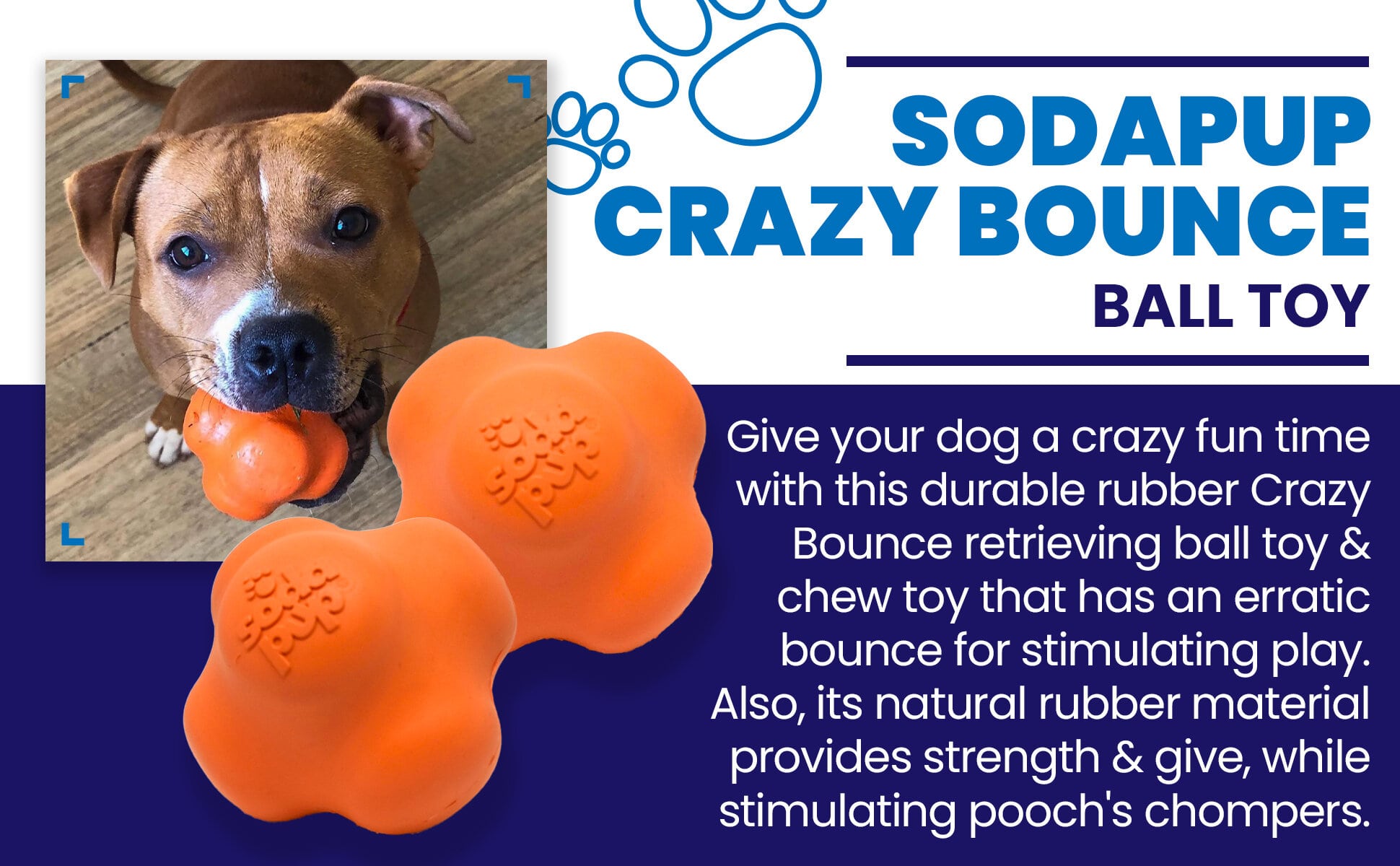 Crazy Bounce Rubber Dog Chew Toy for Power Chewers | Retrieving Ball | USA Made