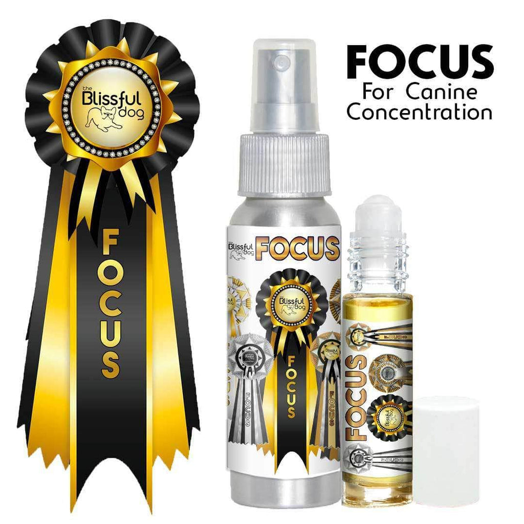 Focus Dog Aromatherapy