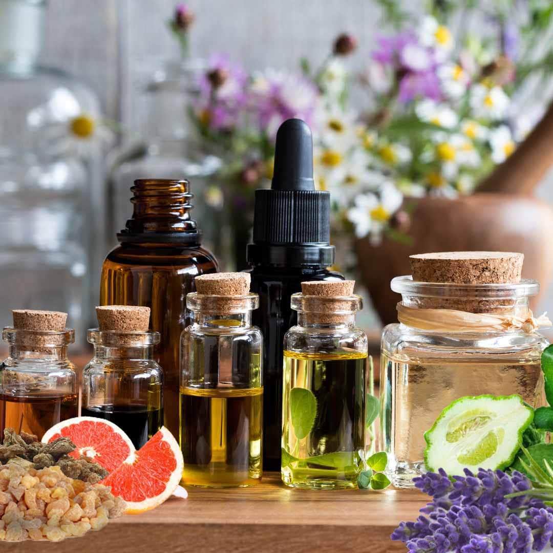 Focus Dog Aromatherapy