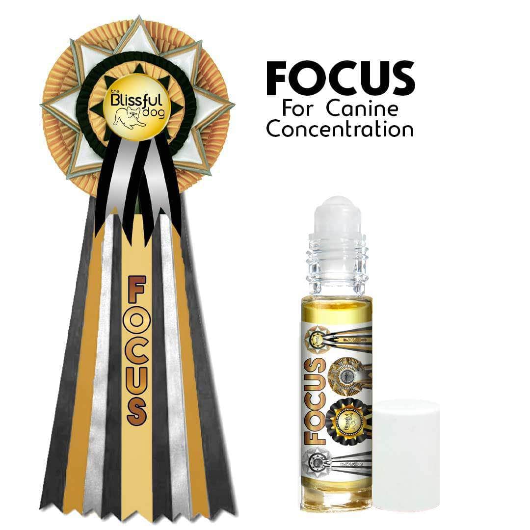 Focus Dog Aromatherapy