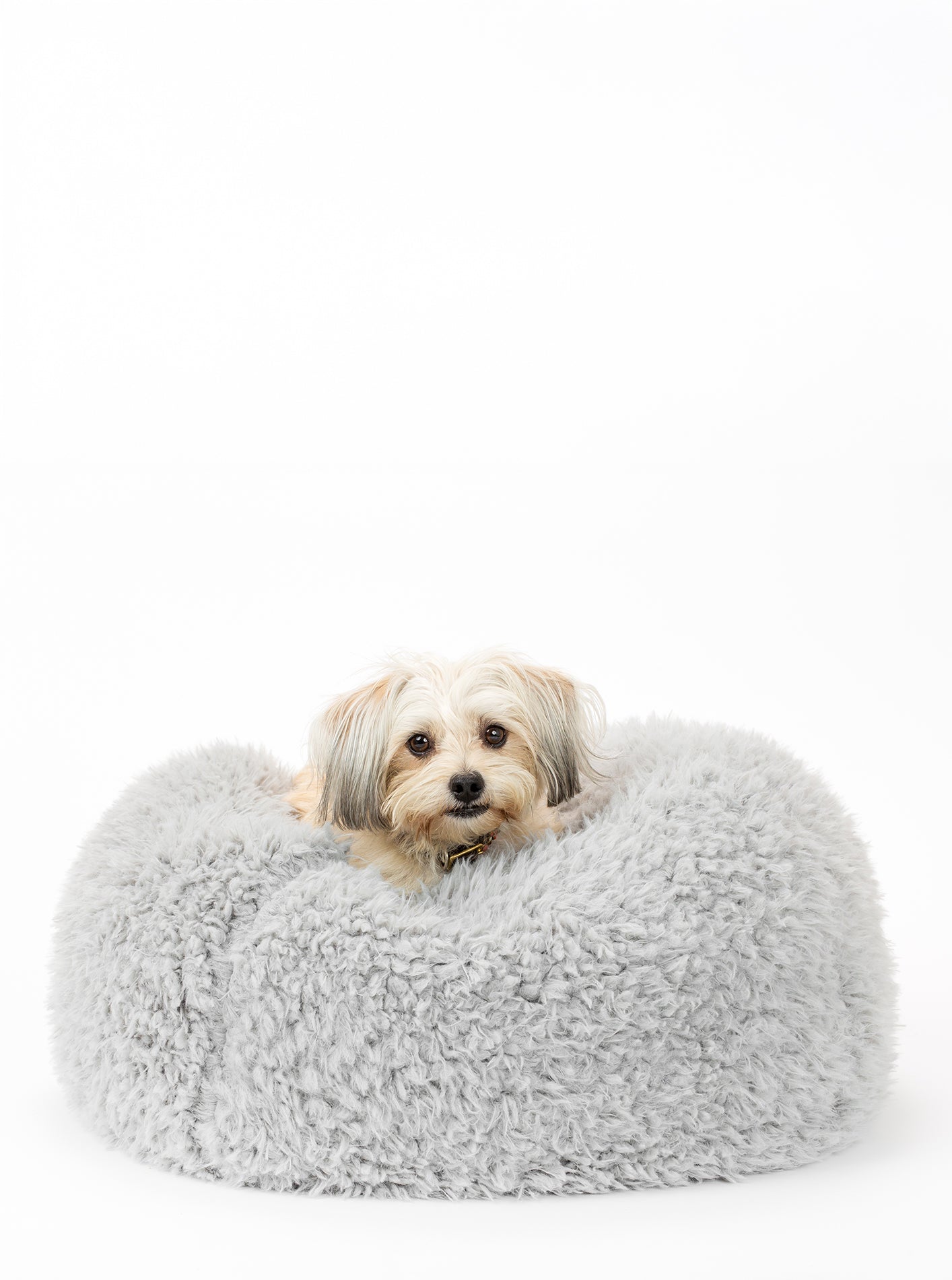 POD DOG BED