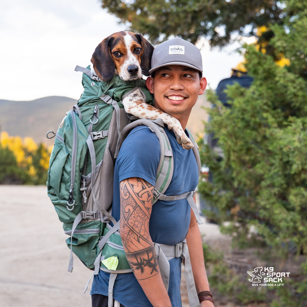 Kolossus | Big Dog Carrier & Backpacking Pack