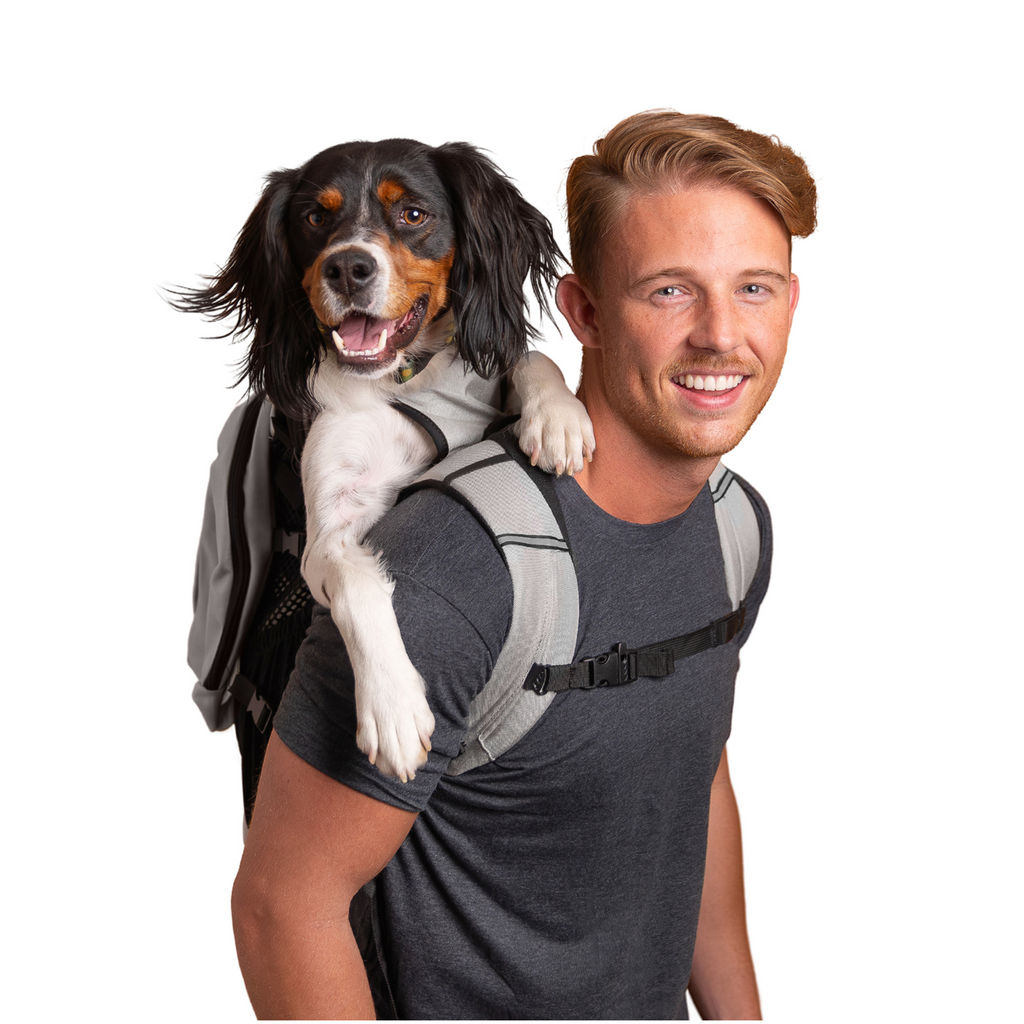 Plus 2 | Dog Carrier with Removable Storage