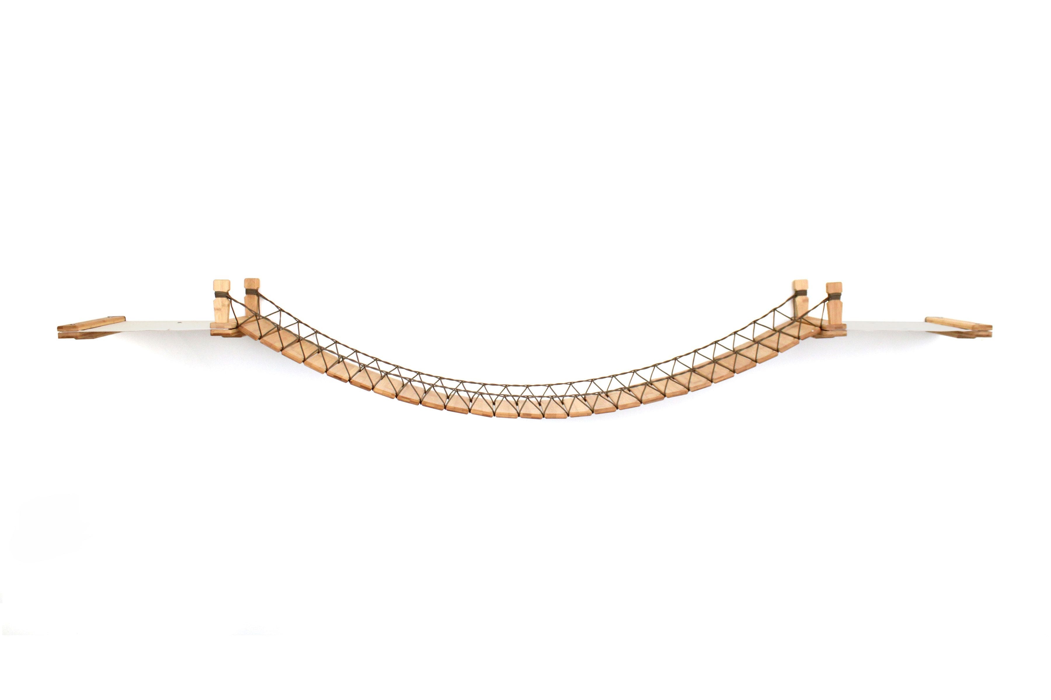 Double Cat Hammock and Climbing Bridge Combo