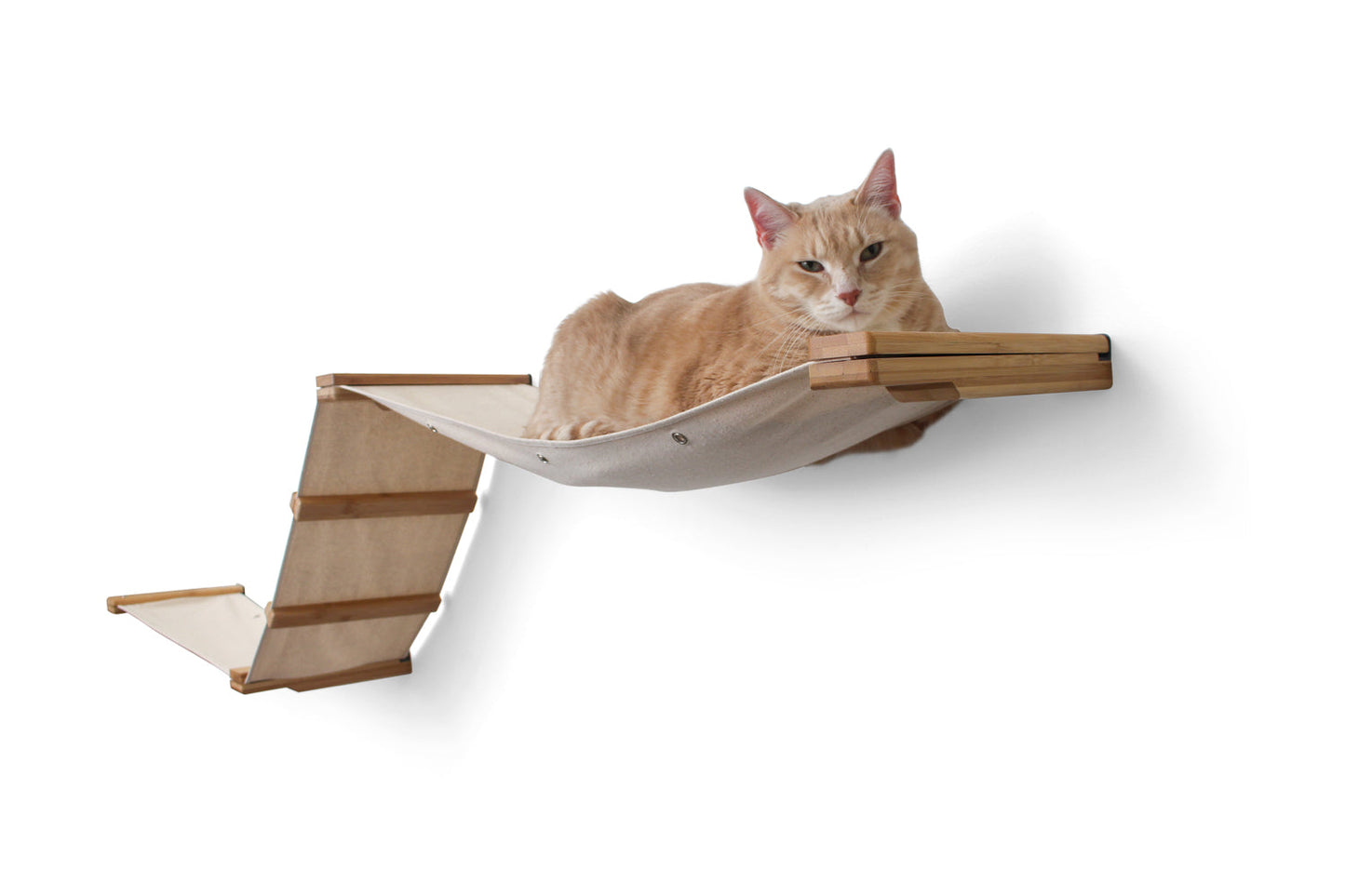 The Raceway - Wall Mounted Cat Hammock
