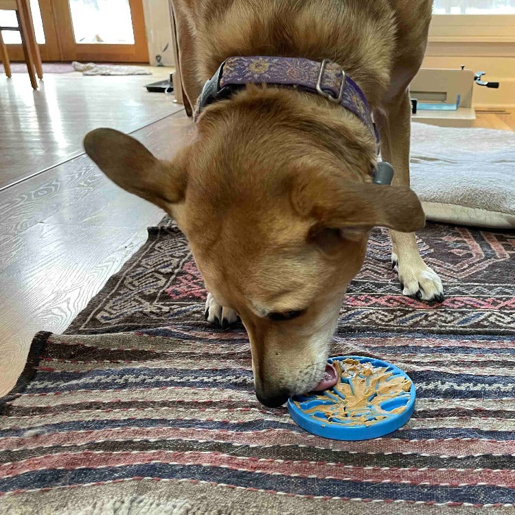 Air Nylon eCoin Lick Mat for Dogs - Durable Enrichment Toy | SodaPup