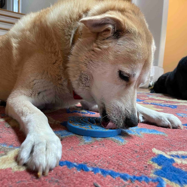 Air Nylon eCoin Lick Mat for Dogs - Durable Enrichment Toy | SodaPup