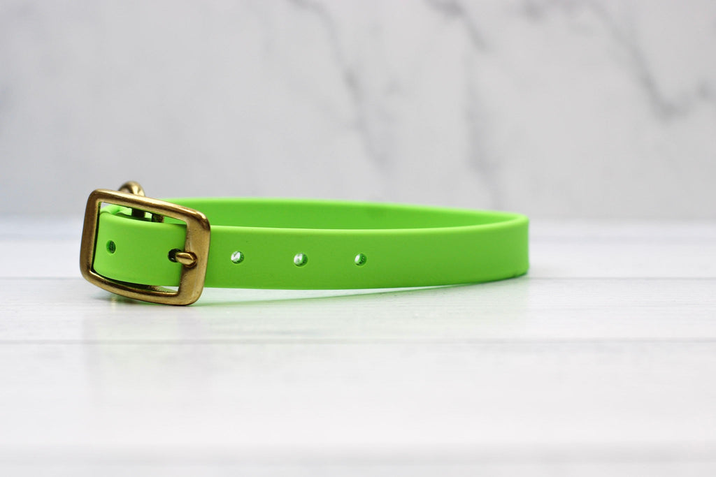 Key Lime Biothane Collar