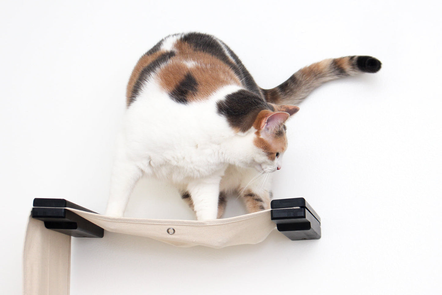 The Play - A Cat Play Wall System