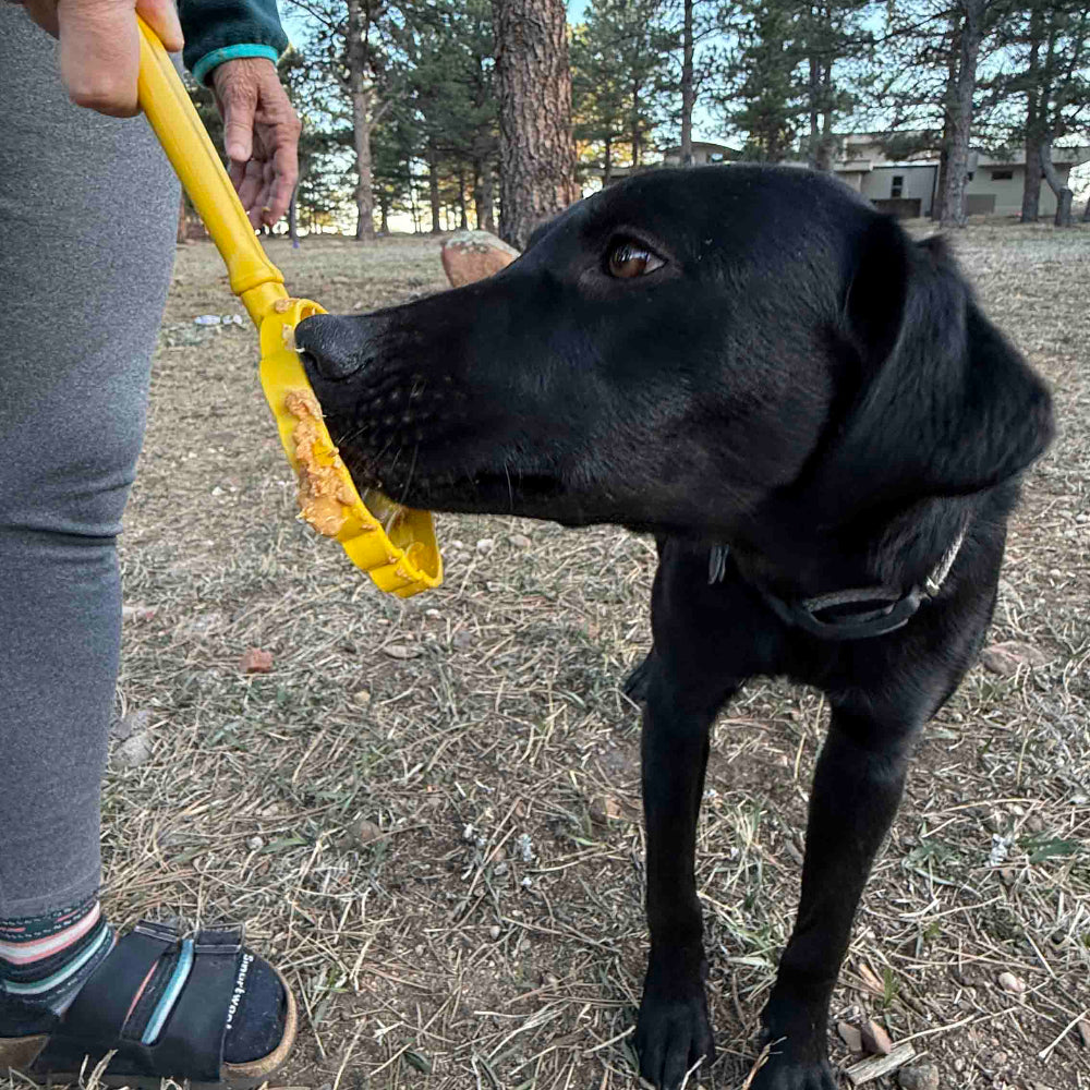 eStick Hand-Held Dog Enrichment Toy - Interactive Lick Stick | USA Made