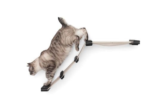 The Lift- Cat Hammock Bed