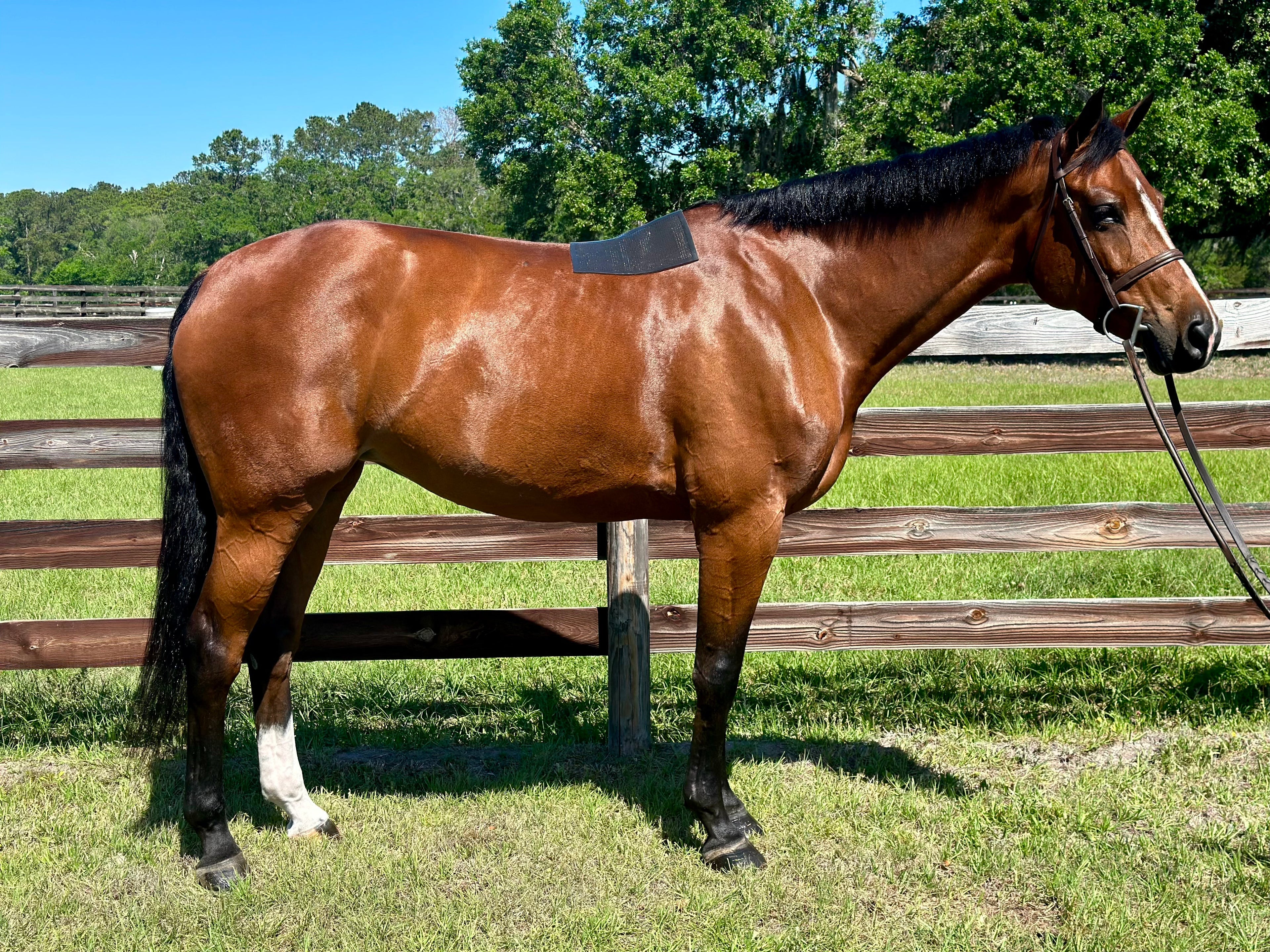 PRO4MANCE | Non-Slip Pad (Black)