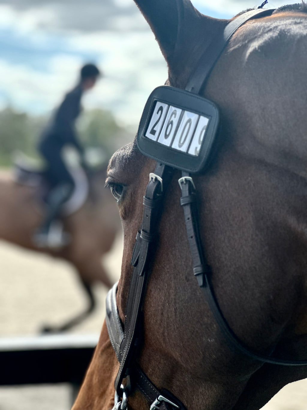 PRO4MANCE | # I.D. - Black (Qty. 2, 4-digit)