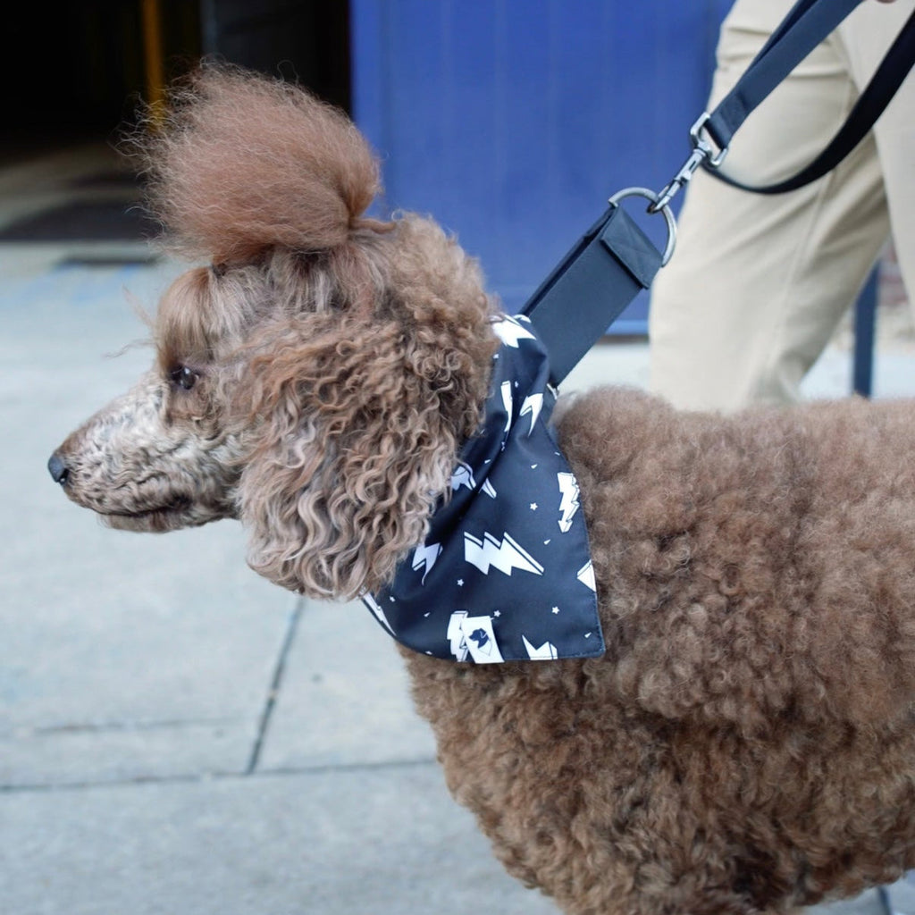 Blue Moon & Lightning Dog Bandana