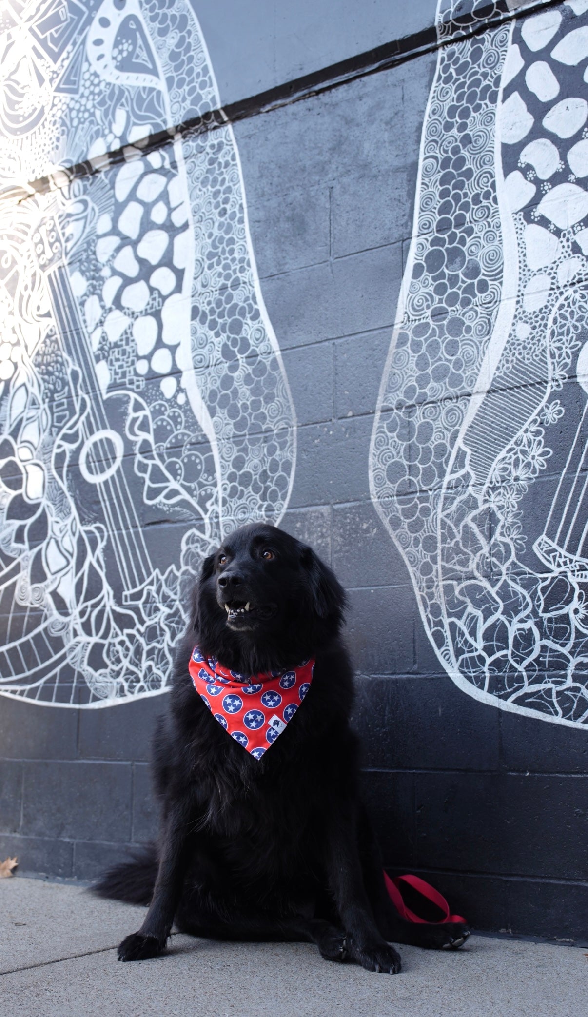 Nashville Tennessee Dog Bandana