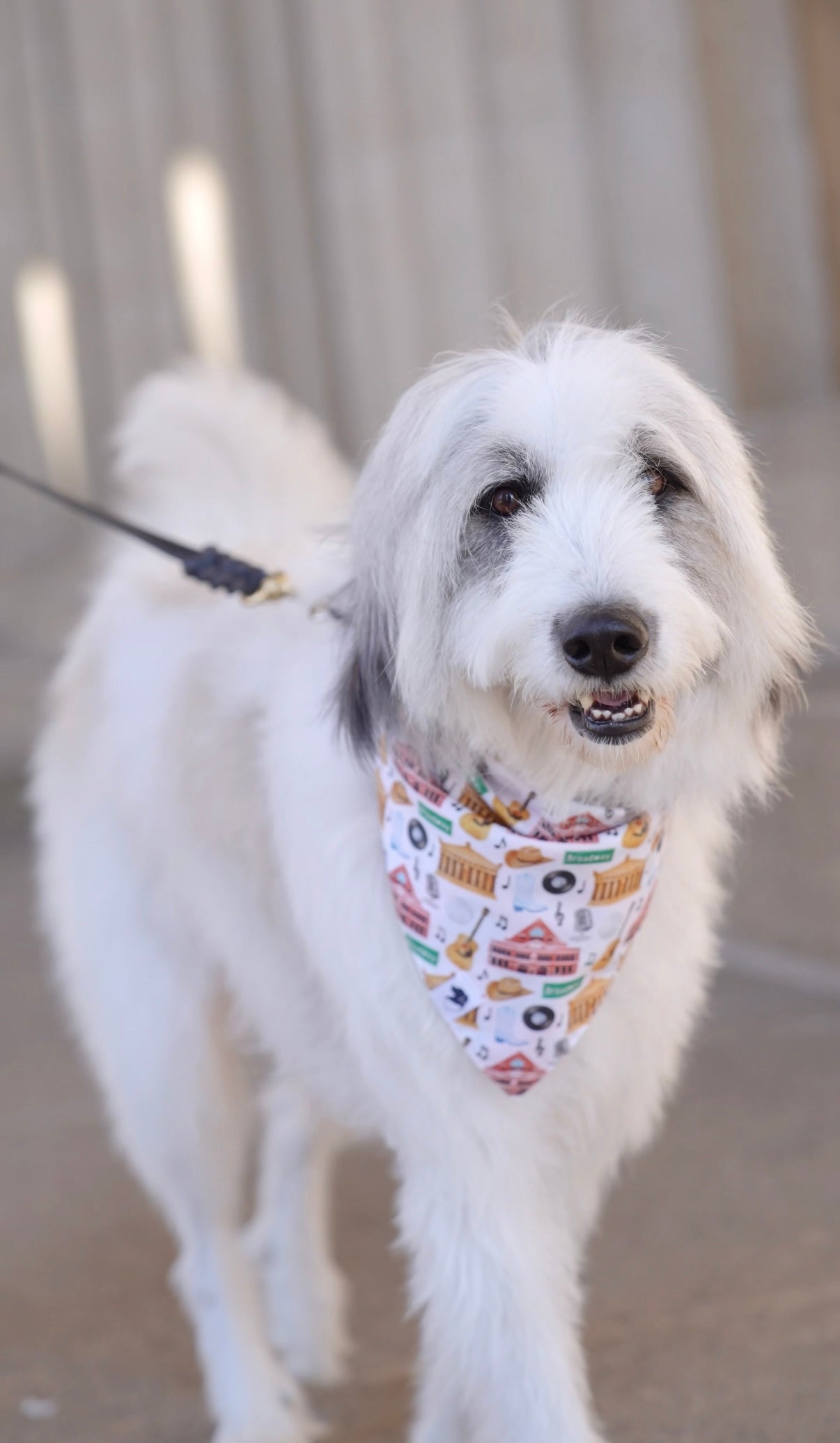 Nashville Tennessee Dog Bandana