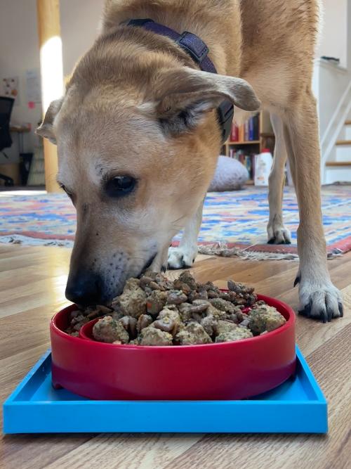 Hold 'em Suction Cup Holder for Dog Bowls & Lick Mats | USA Made