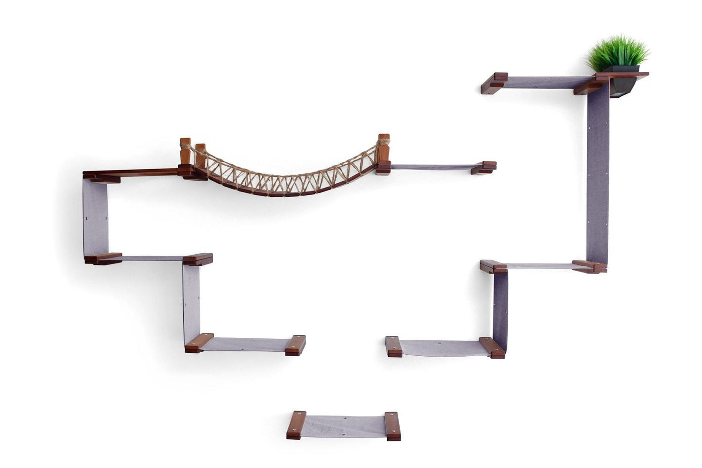 The Temple - Giant Cat Tree on Wall