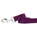 Burgundy Nylon Dog Leash