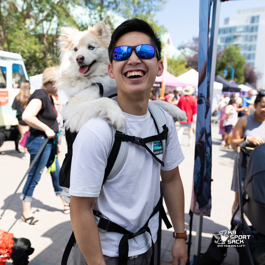 Knavigate | Advanced Dog Carrier with Internal Frame & Hip Belt