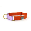 martingale collar / orange + lilac