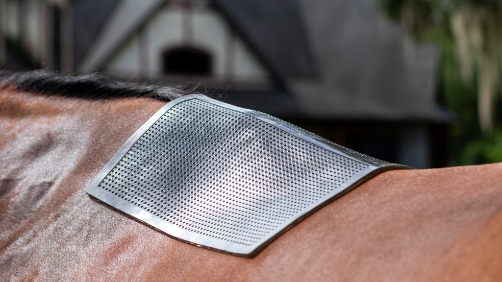 PRO4MANCE | Non-Slip Pad (Black)