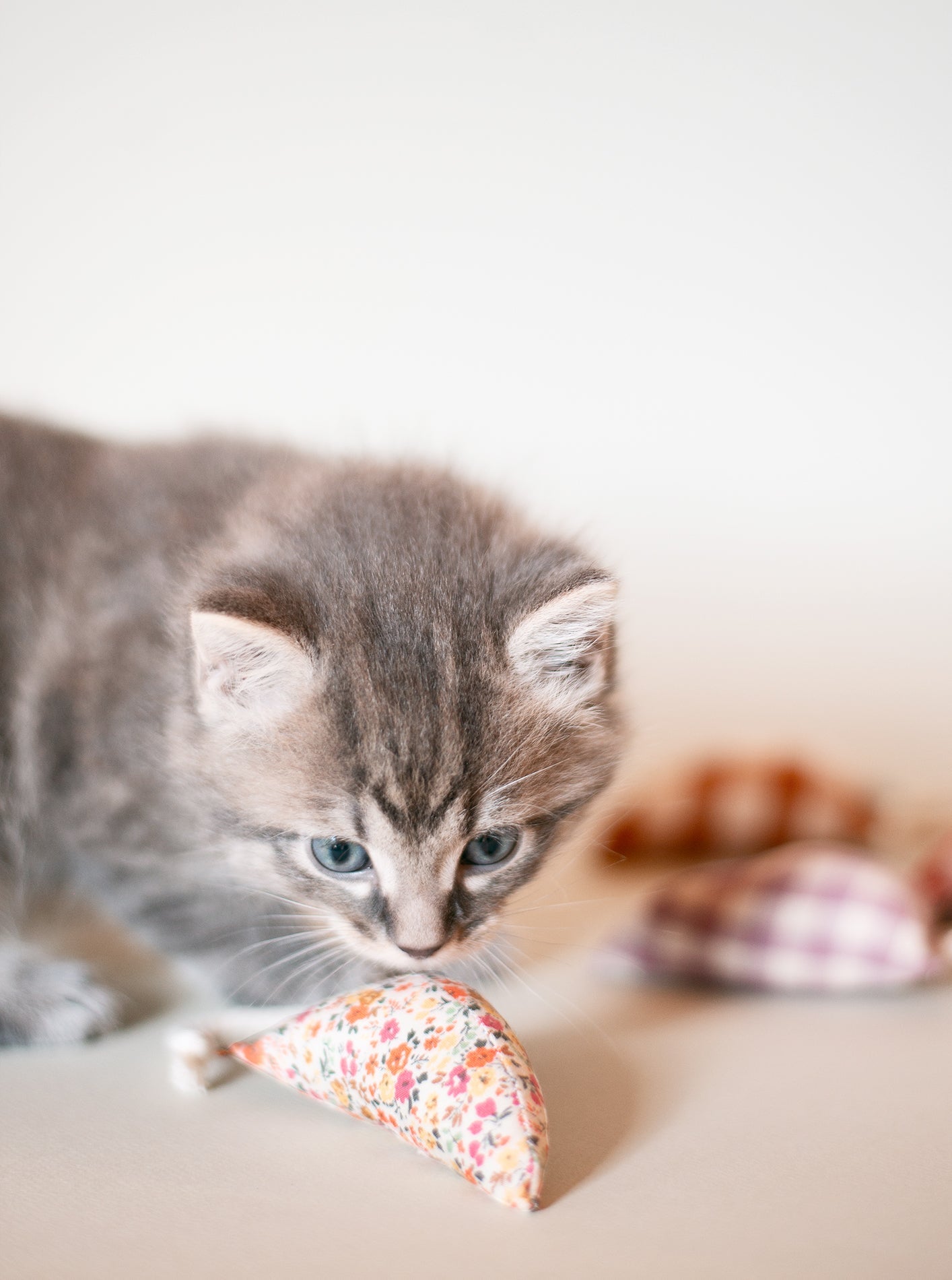 MODERN MOUSE - FLORAL