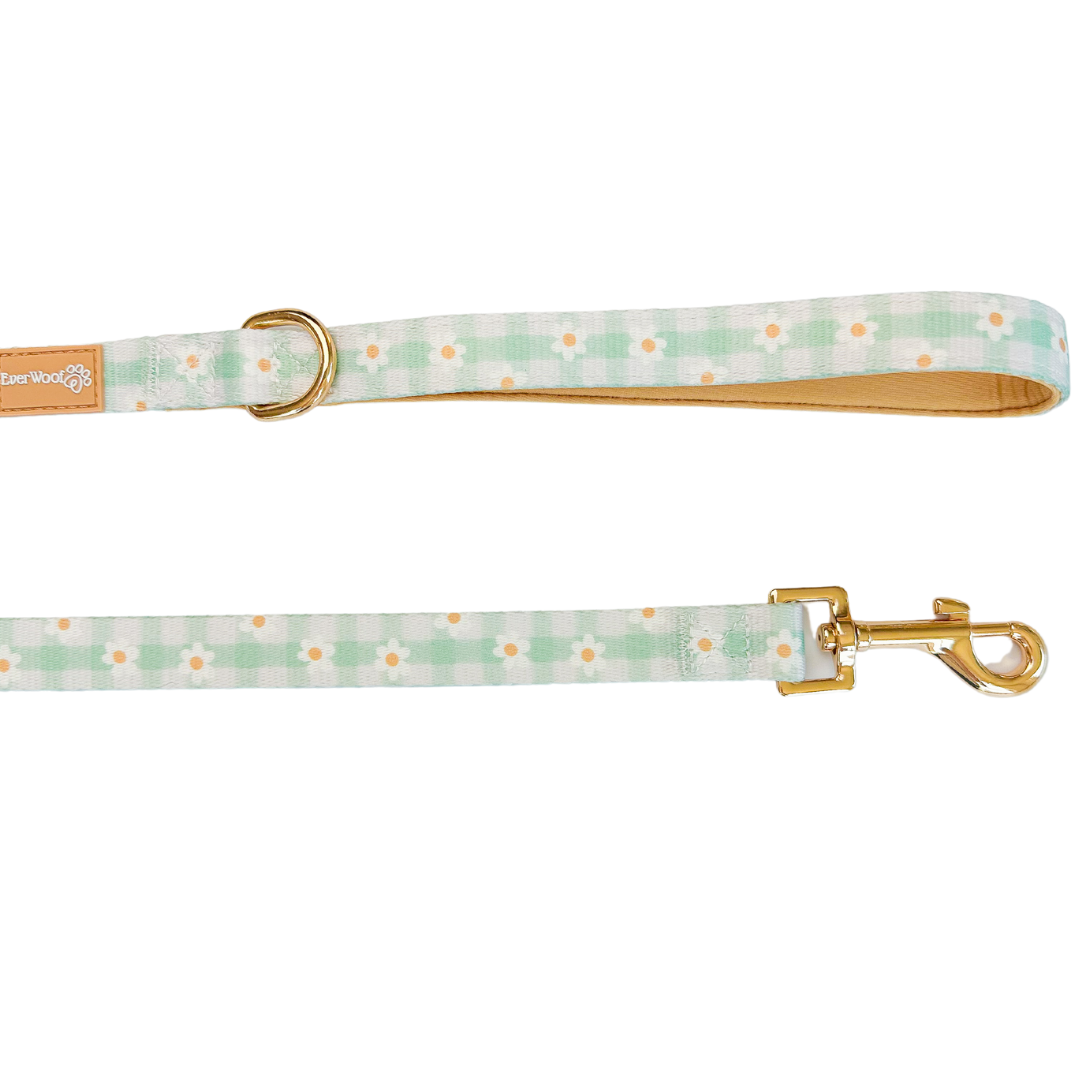 Oopsie Daisy! Leash