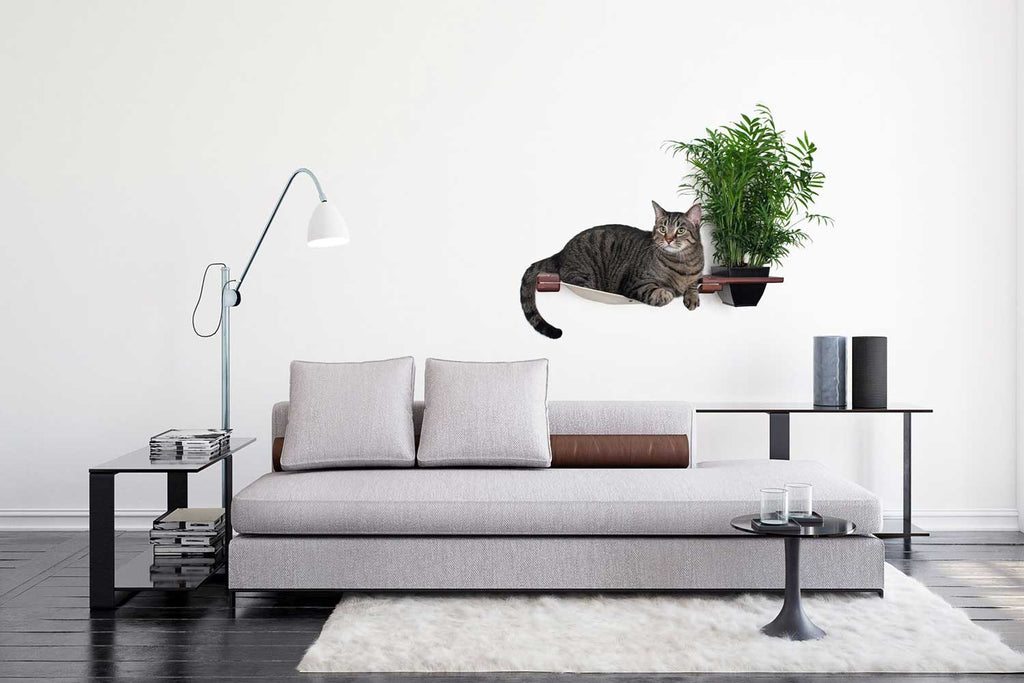 Cat Hammock Wall with Planter