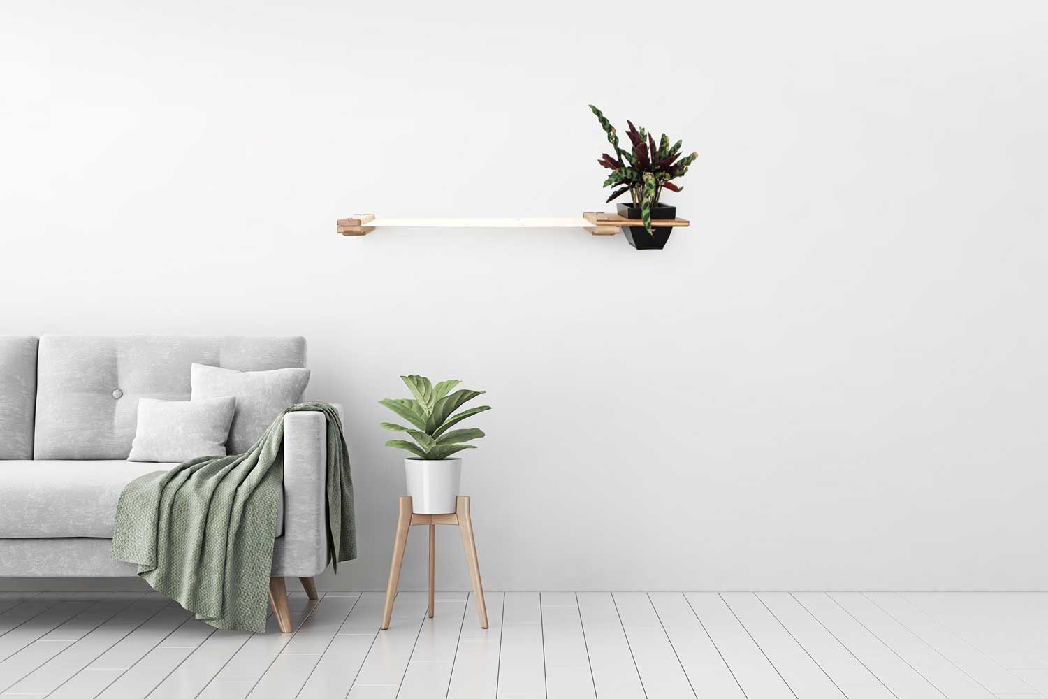 Cat Hammock Wall with Planter