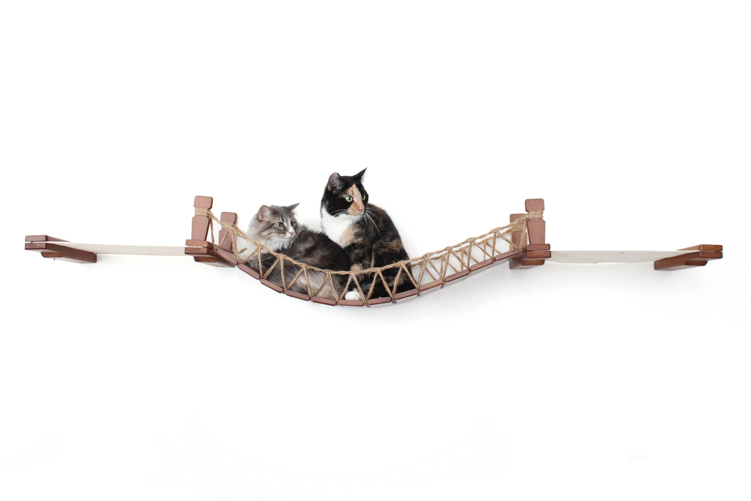Double Cat Hammock and Climbing Bridge Combo