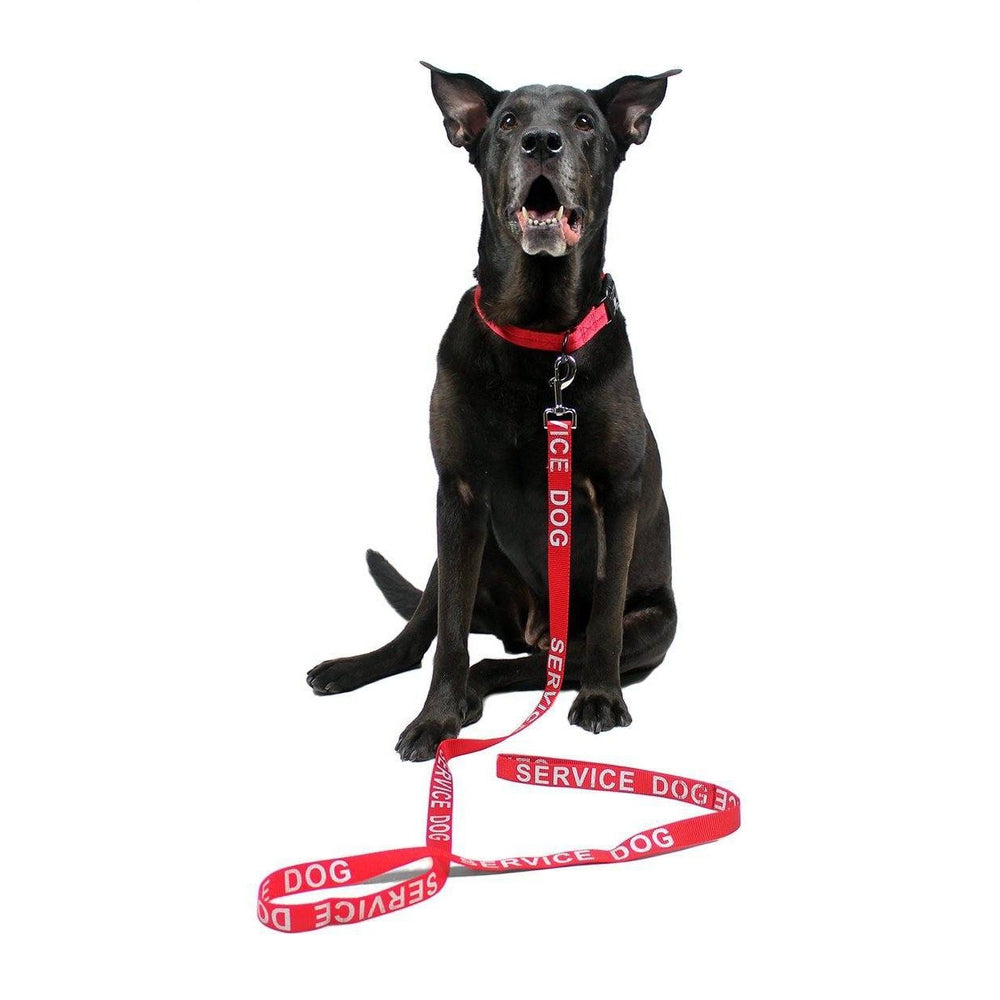 Reflective Nylon Dog Leash