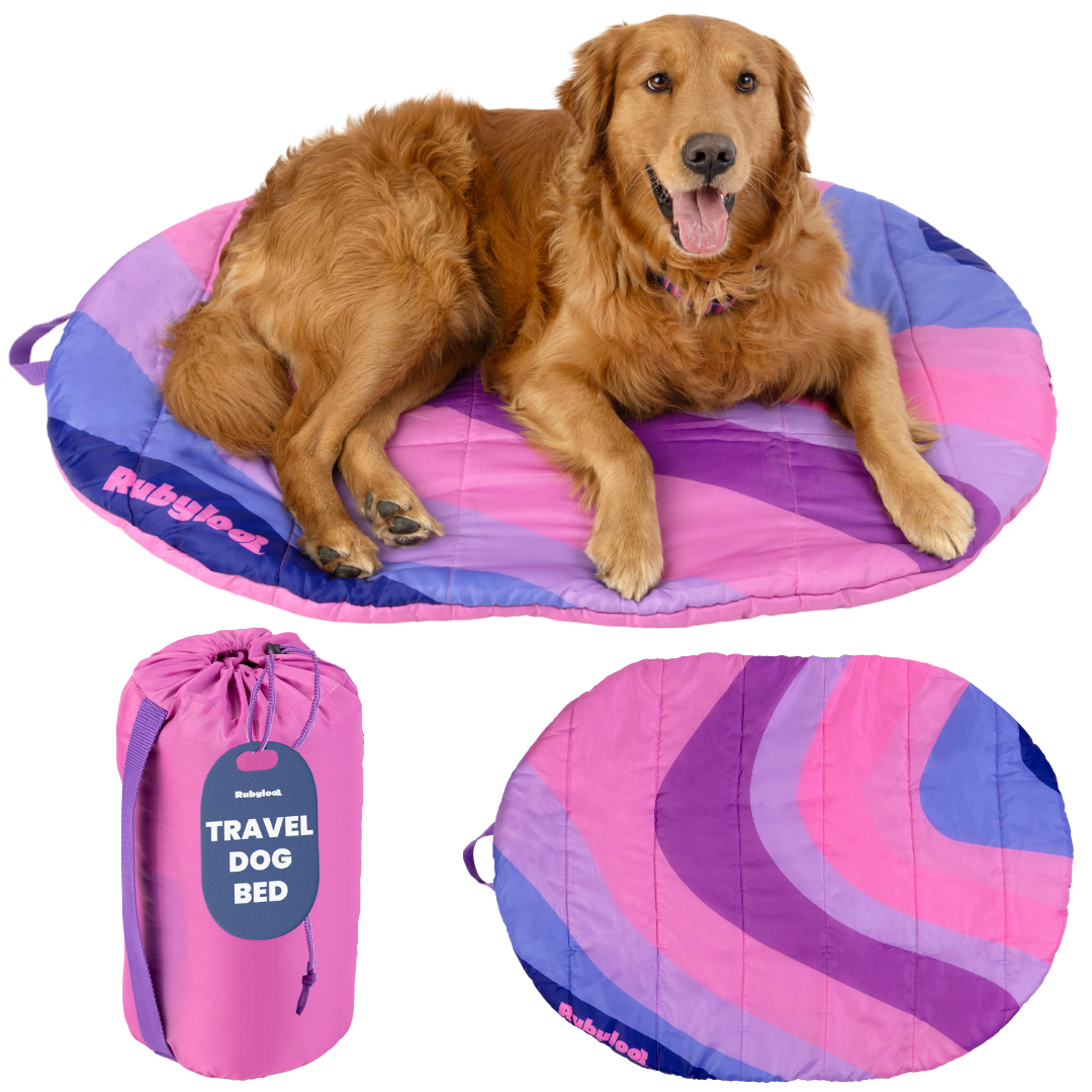 Travel Dog Bed - Foldable & Packable for Travel, Road Trip, Camping