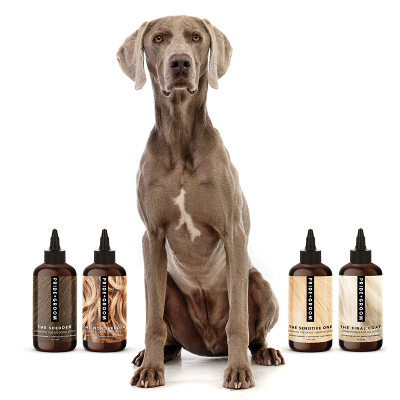THE WASH SAMPLE PACK — Try PRIDE+GROOM's Best-Selling Dog Shampoos & Conditioner