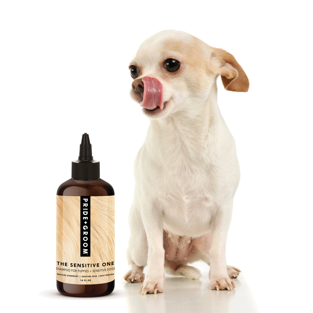 THE SENSITIVE ONE Hypoallergenic Dog & Puppy Shampoo — With Hemp Oil, Aloe & Oatmeal for Sensitive Skin