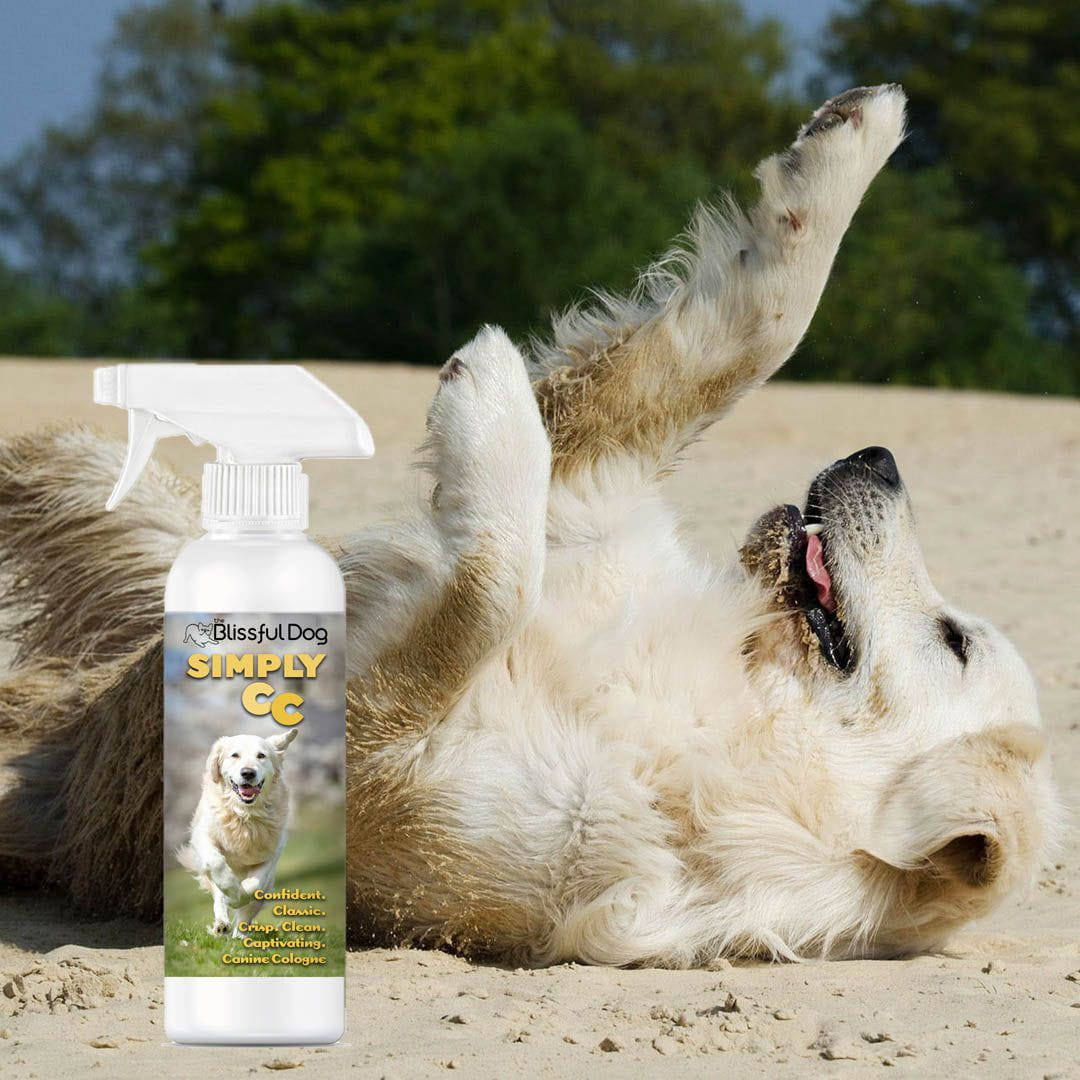Simply CC Dog Cologne for the Classically Confident Canine