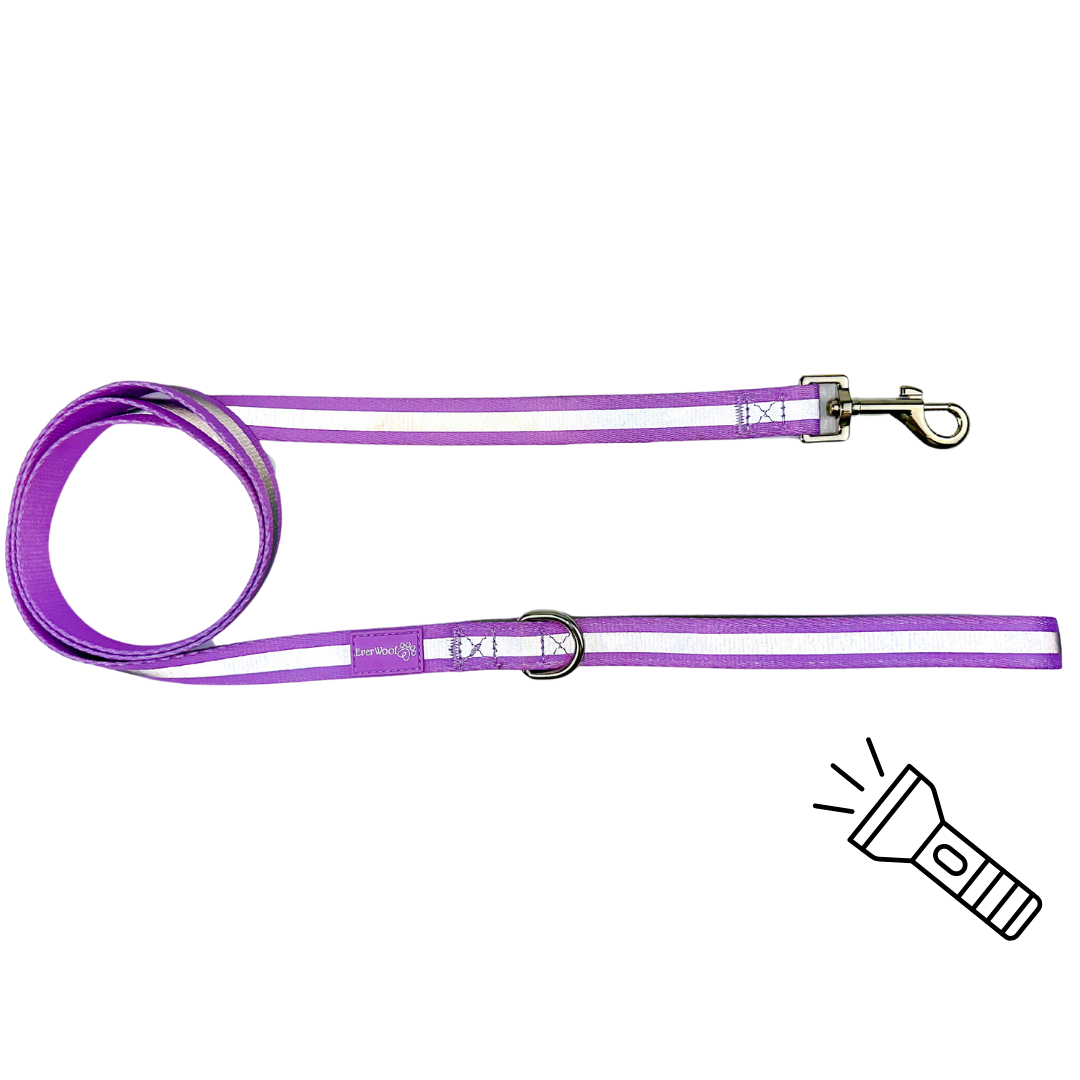 Shine Bright - Amethyst Leash