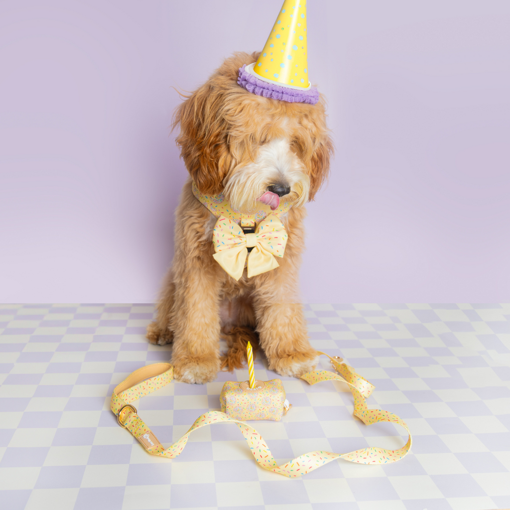 Ever So Sweet Step-in Harness