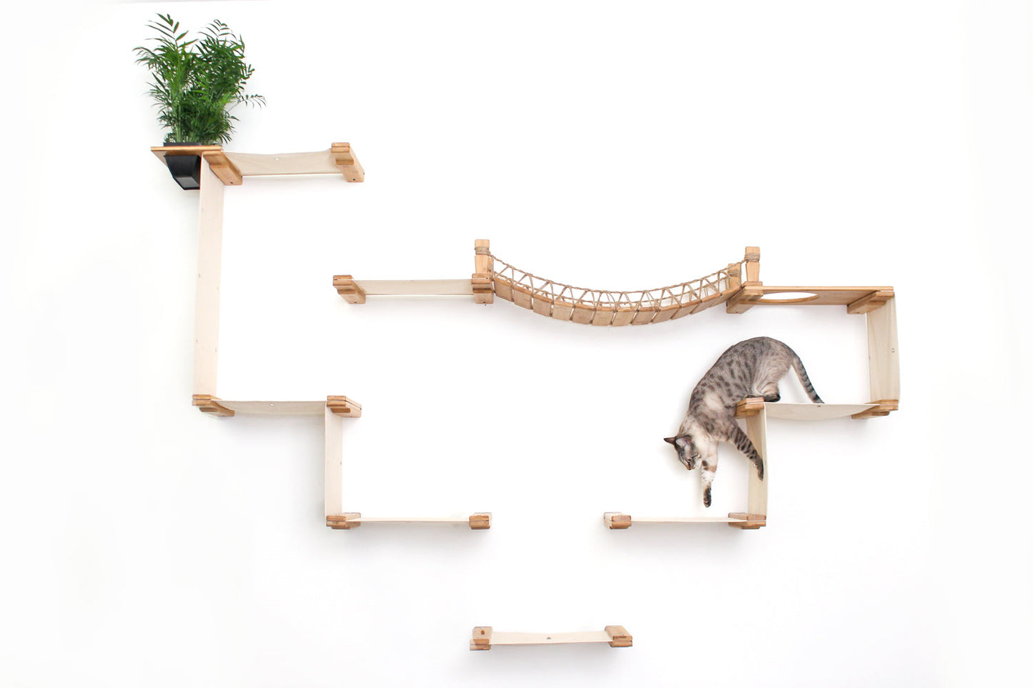 The Temple - Giant Cat Tree on Wall