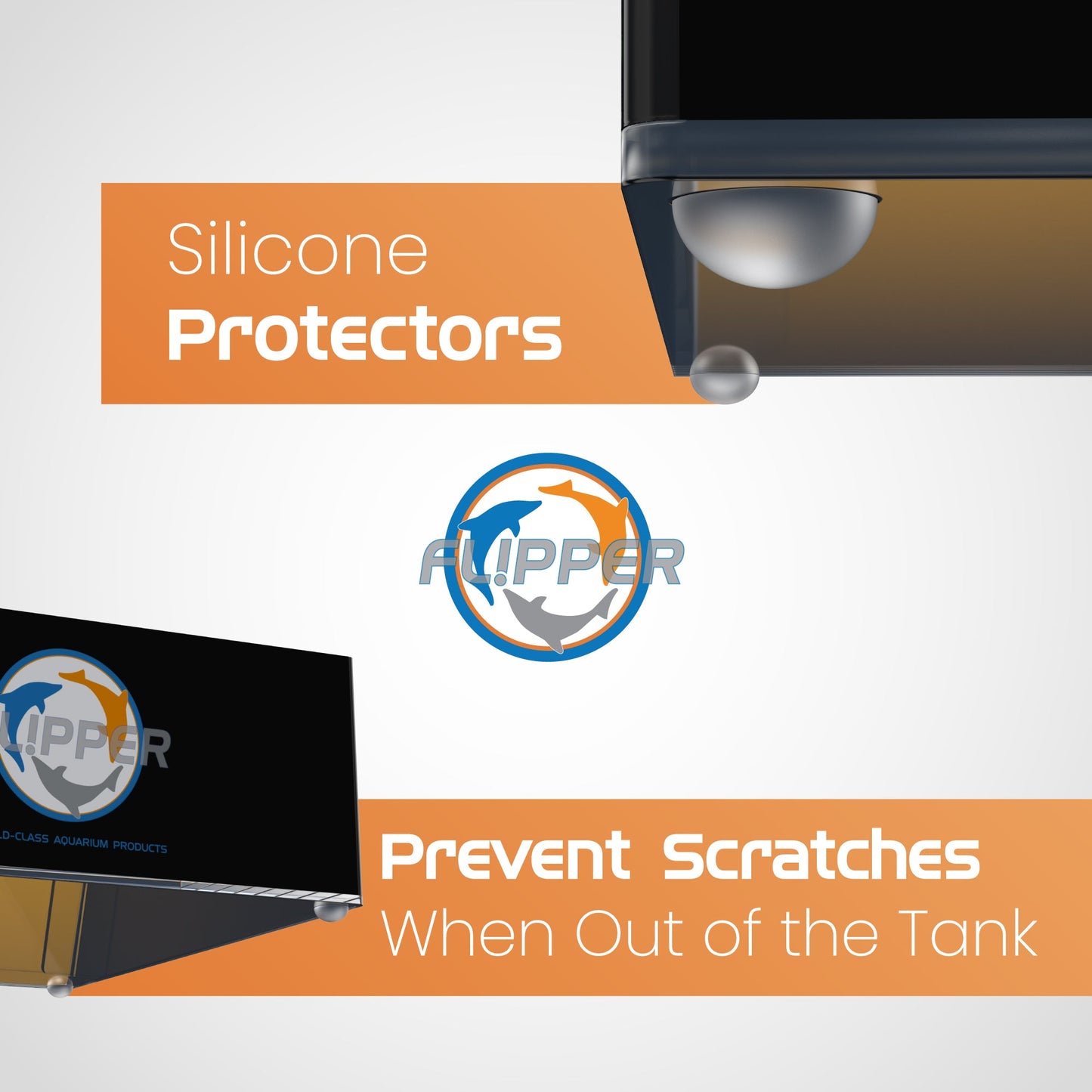 Top Down Viewer Clownfish - 8" panel