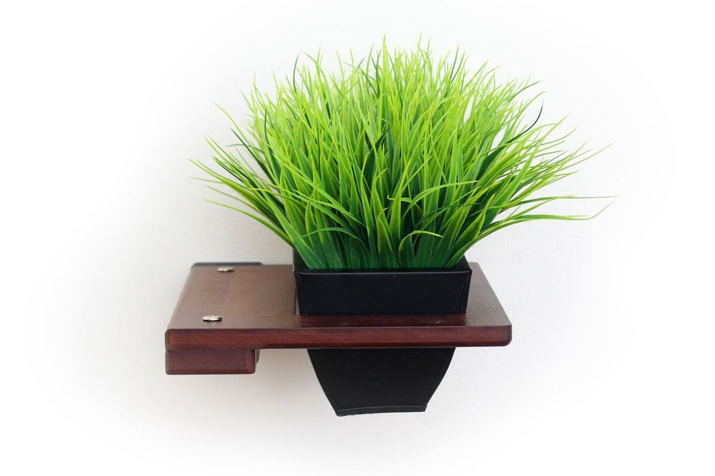 Cat Plant Stand for Wall