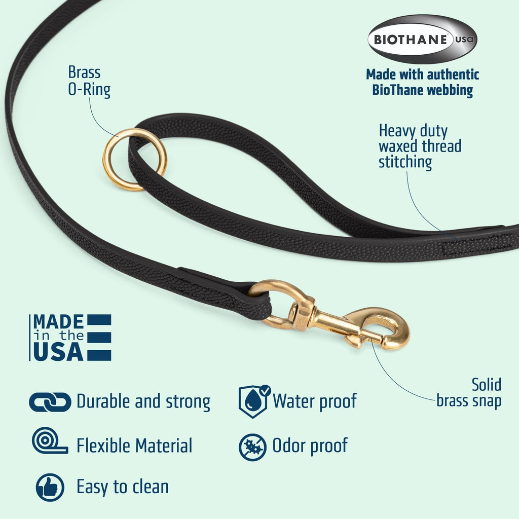 Viper Pebble Emboss BioThane Dog Leash with Solid Brass Hardware, 5 ft