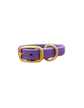 Violet Waterproof Biothane Collar